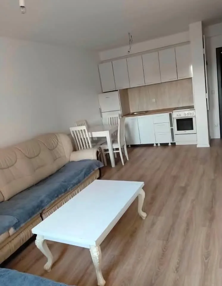 Banesë 1+1 me qira afër Shkollës Mihail Grameno 2 — foto 2 nga 6