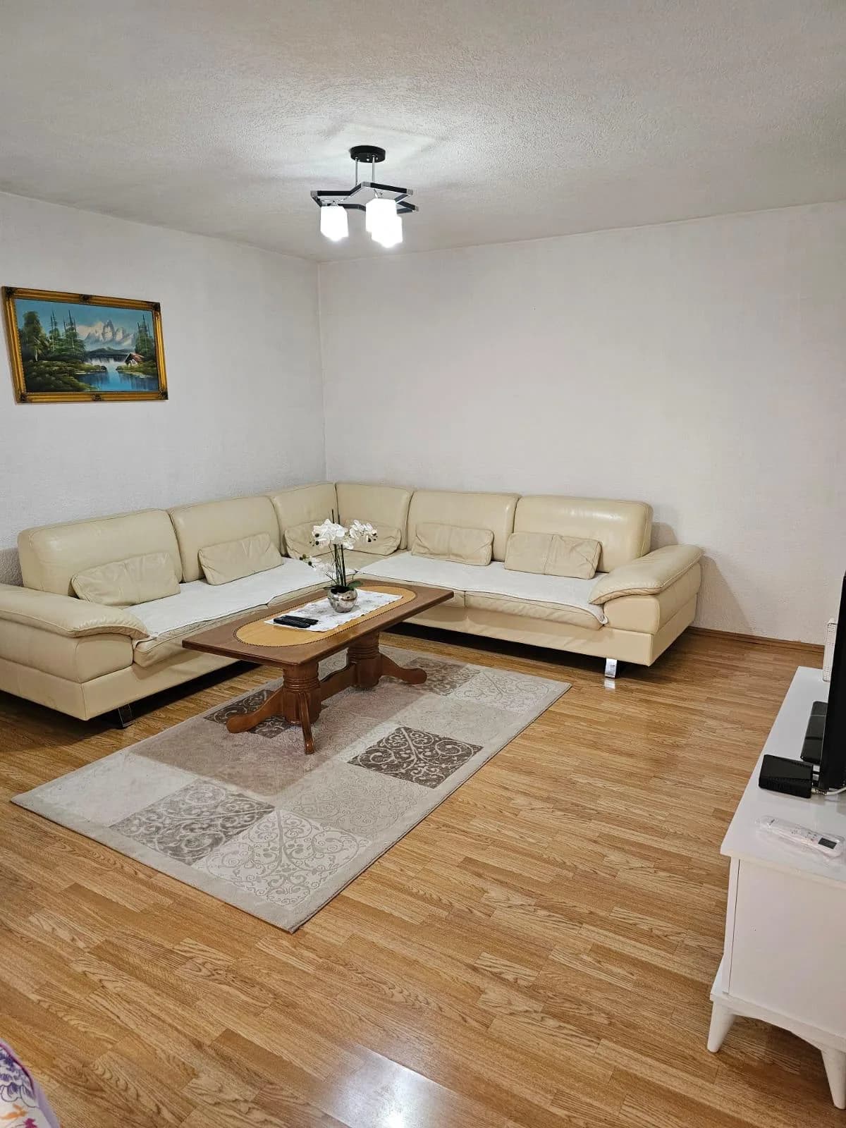 Banesë me qira në Dardani — foto 1 nga 12