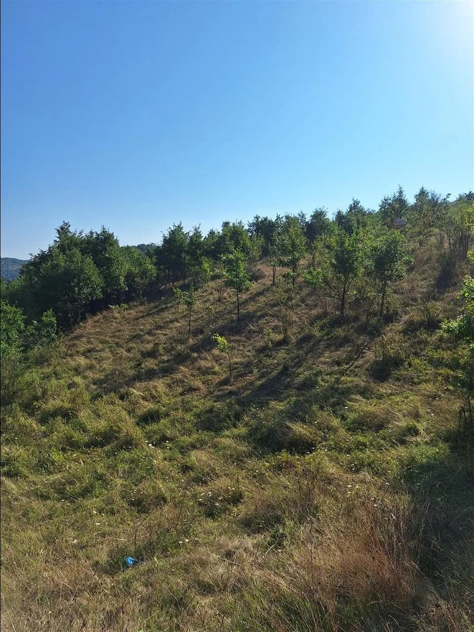 Troje për shitje në Novobërdë (Makresh i Epërm) — foto 2 nga 7