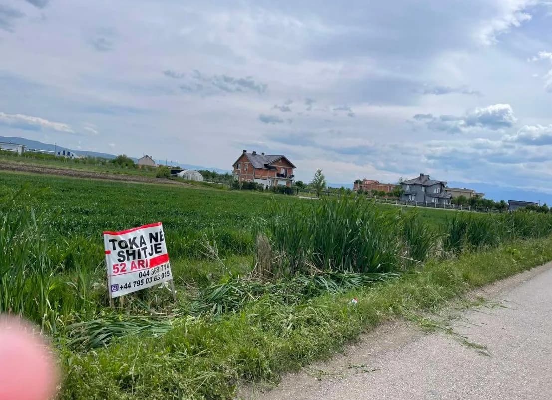 Shitet truall - 52 ari — foto 2 nga 2