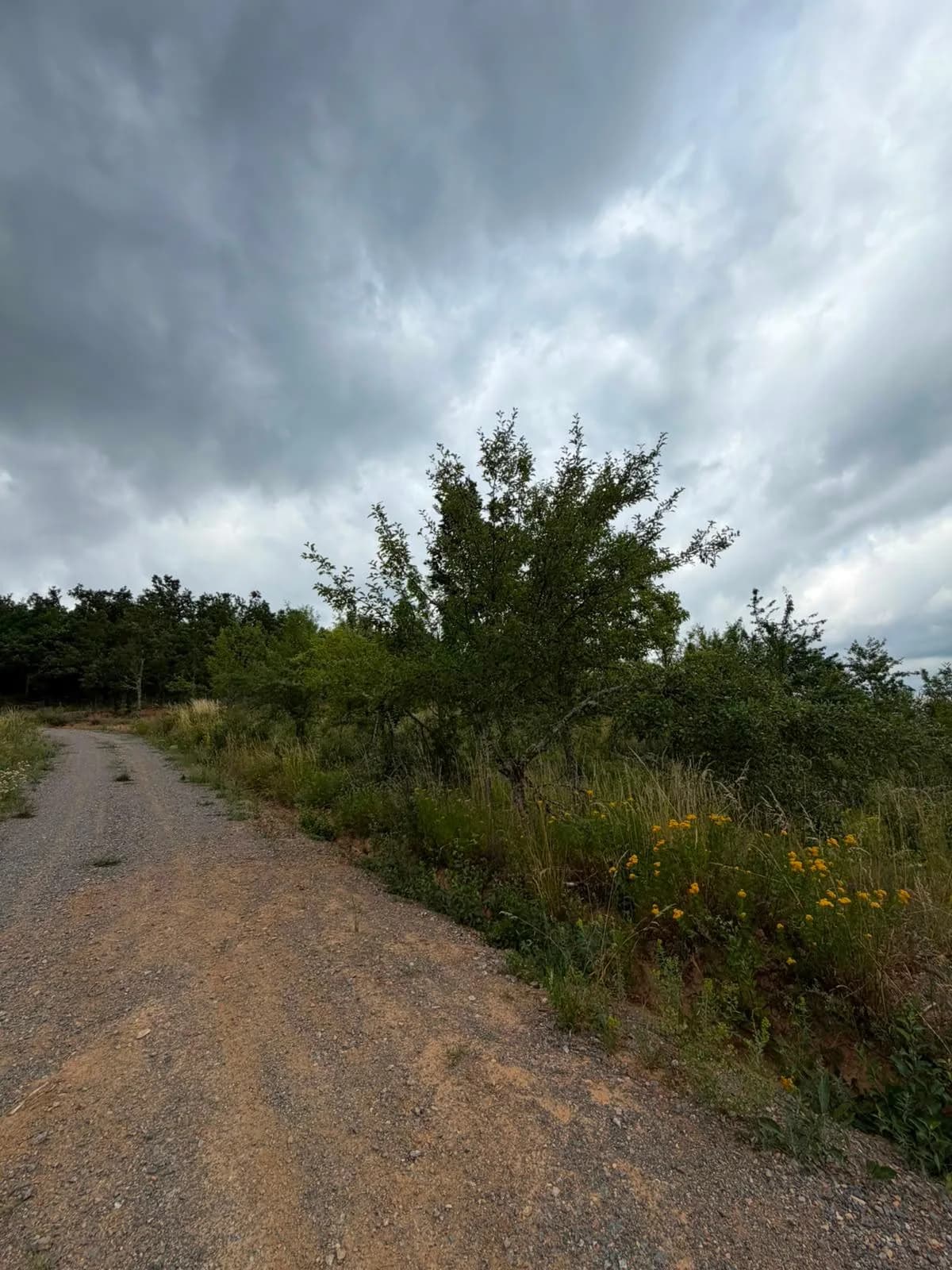 Truall 32 ari në shitje - Makresh i Ulët — foto 2 nga 5