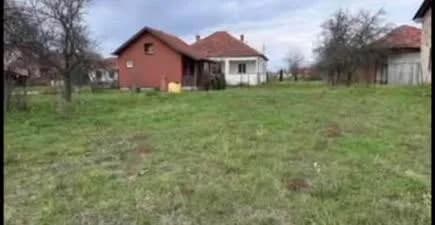 Truall 37 ari në shitje - Gushtericë e Poshtme — foto 1 nga 6