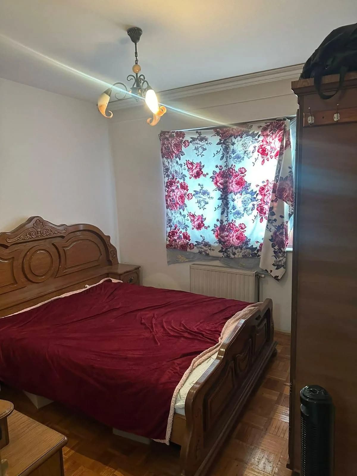 Shitet banesë te Parku i Qytetit — foto 2 nga 6