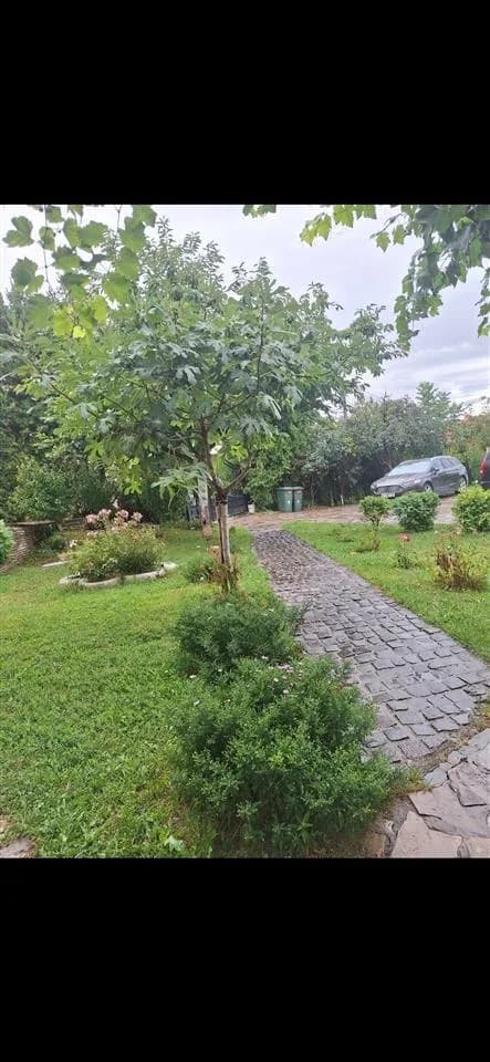 Kat shtëpie me qira - 1+1, hyrje e veçantë — foto 1 nga 8