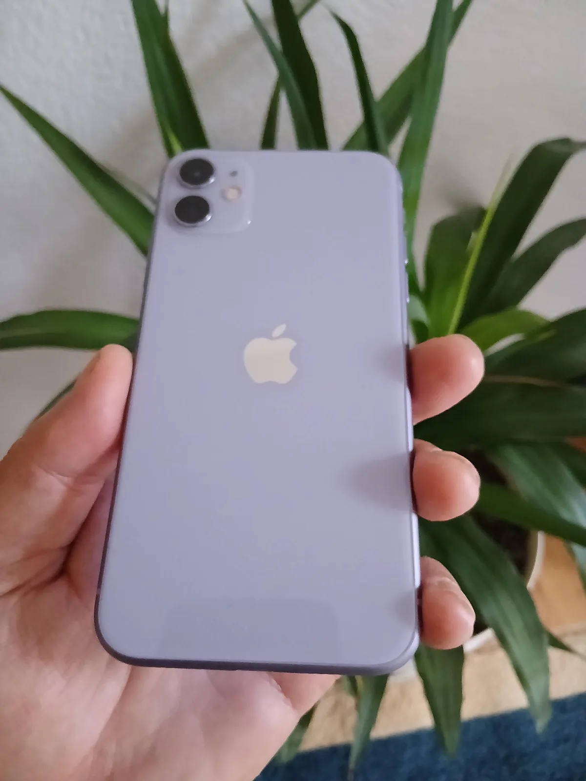 iPhone 11, 128 GB — foto 1 nga 5