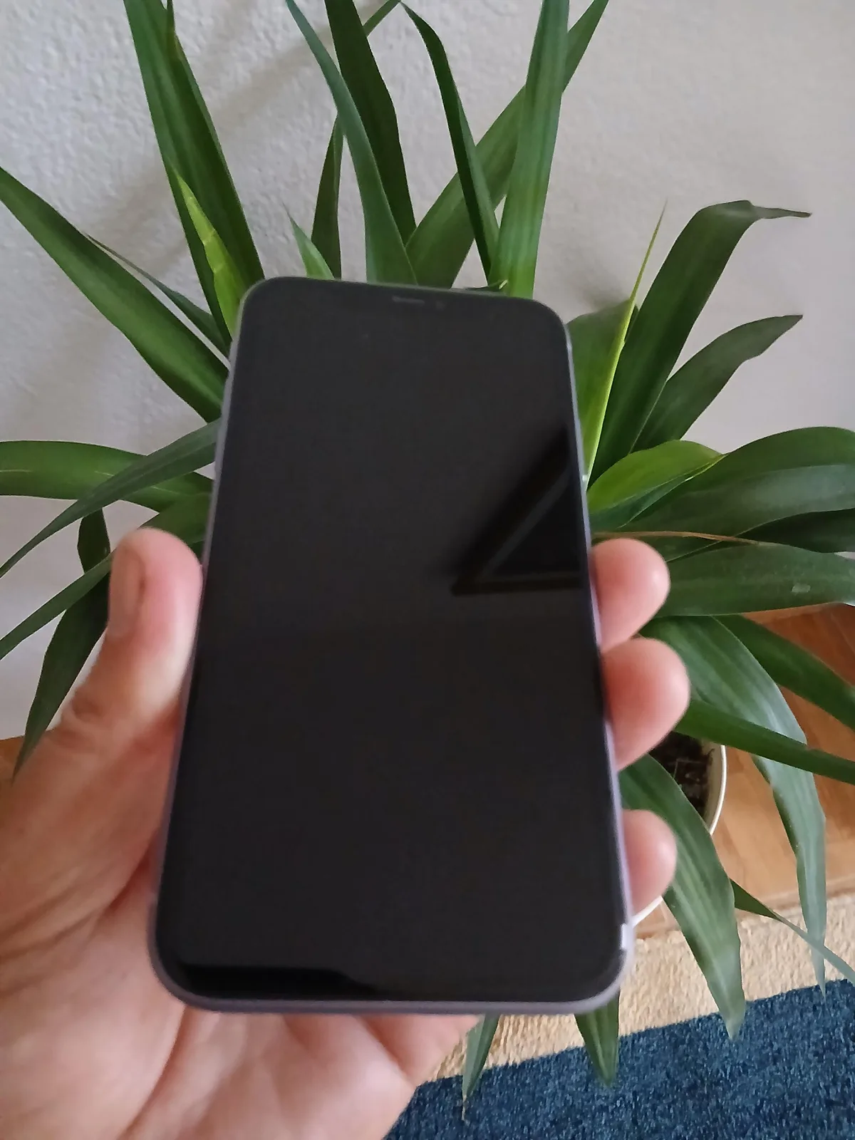 iPhone 11, 128 GB — foto 2 nga 5