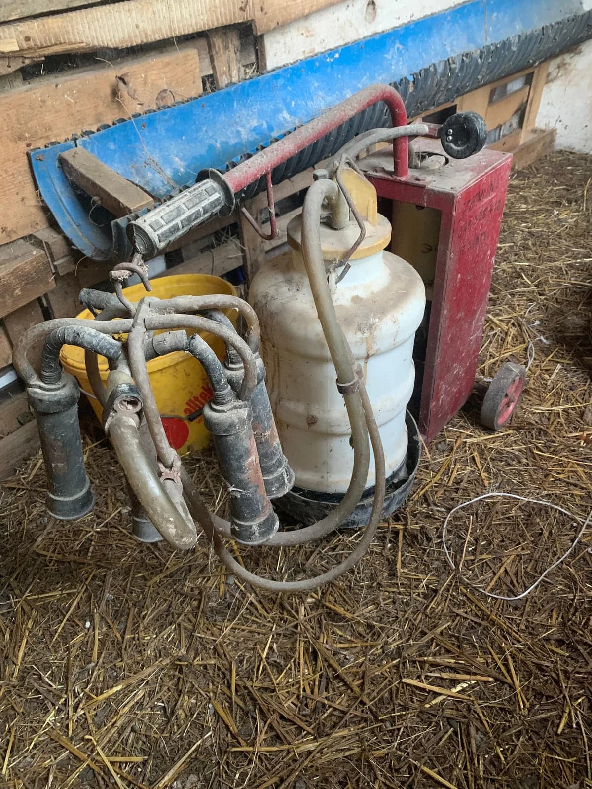 Shitet makinë për mjeljen e lopëve — foto 2 nga 3