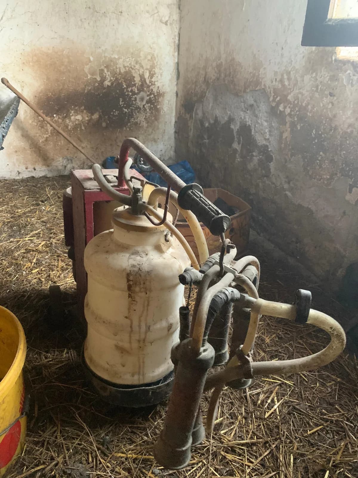 Shitet makinë për mjeljen e lopëve — foto 1 nga 3