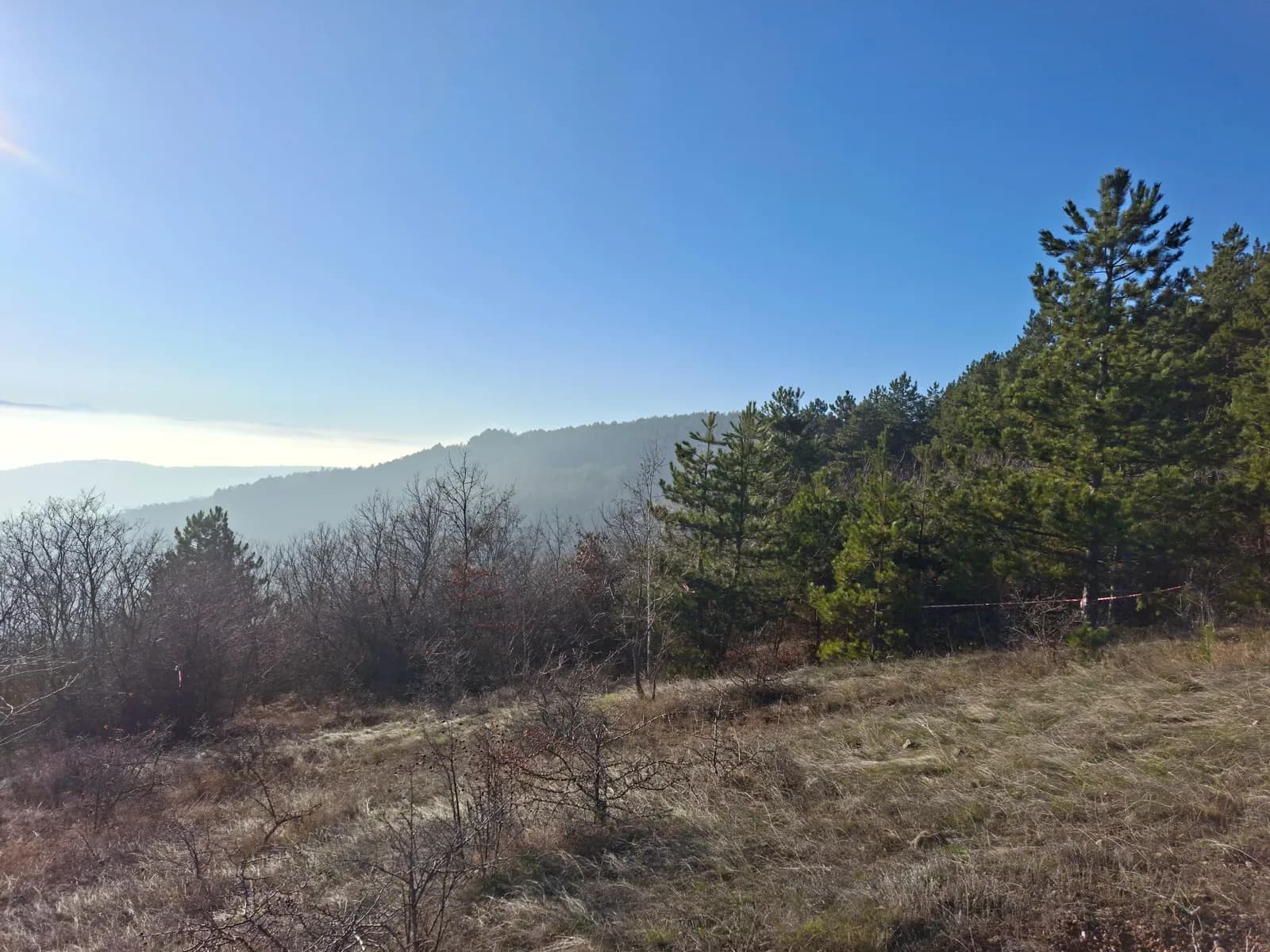 Shitet truall në zonën turistike në Shishare, Lipjan — foto 1 nga 3