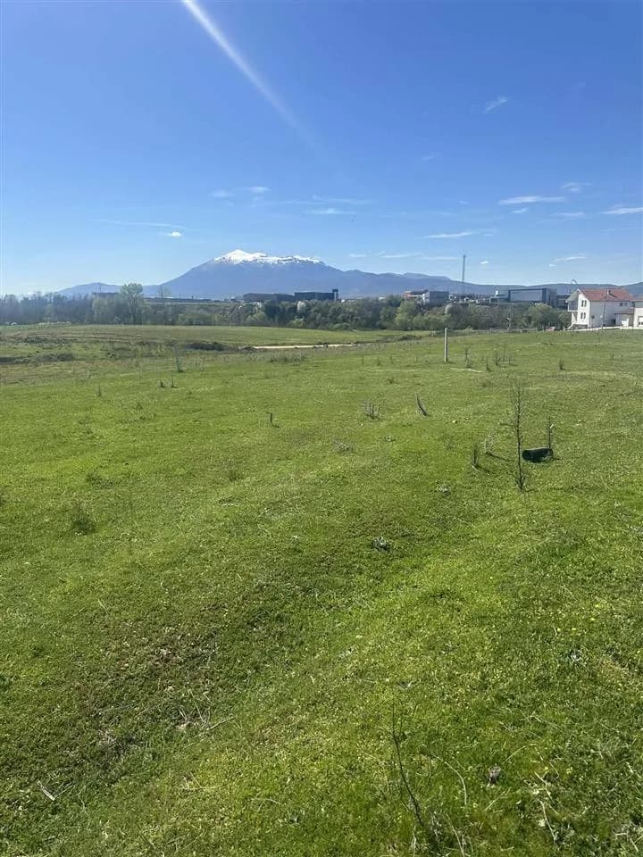 Shitet truall 30 ari në zonën industriale në Tranzit — foto 2 nga 5