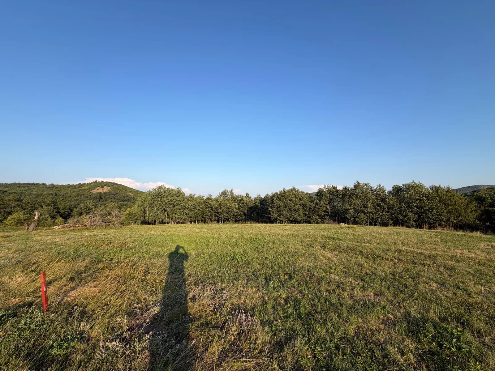 Shiten 5 ari në Prapashticë — foto 1 nga 3